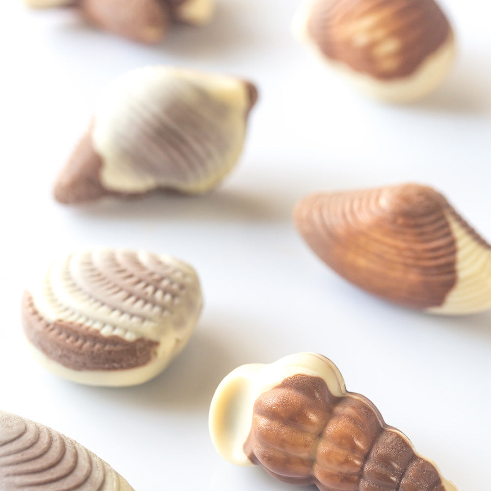 Chocolat coquillages de mer